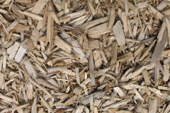 biomass boilers Tornagrain